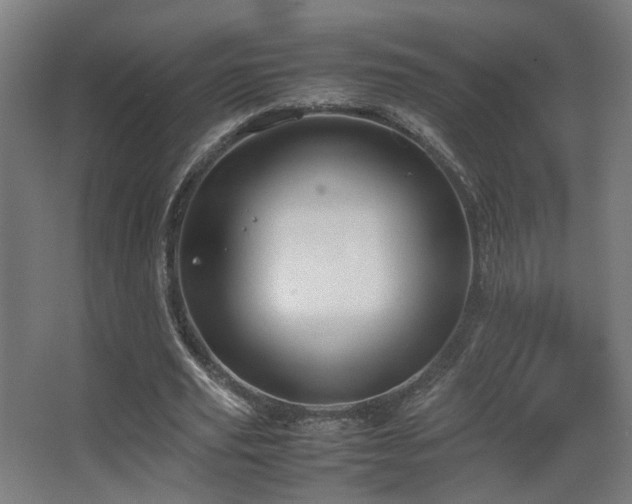 X0000067890629200604131329