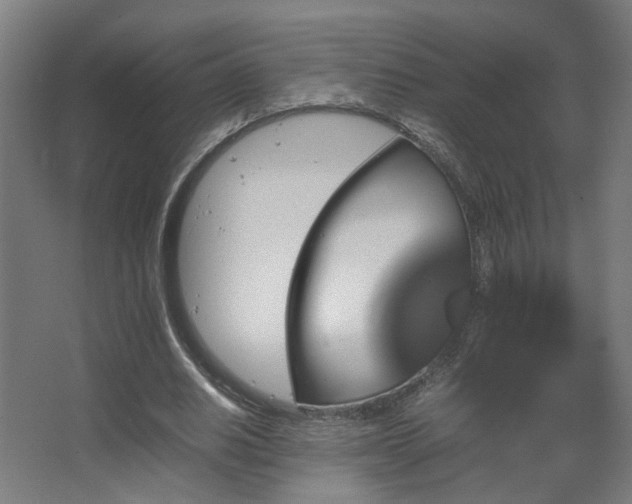 X0000067890630200604131329