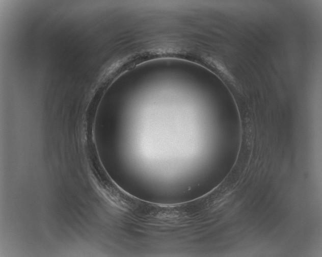 X0000067890631200604131329