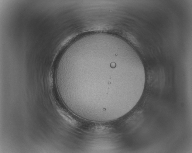 X0000067890632200604131329