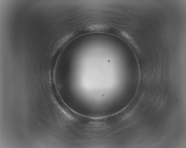 X0000067890633200604131329