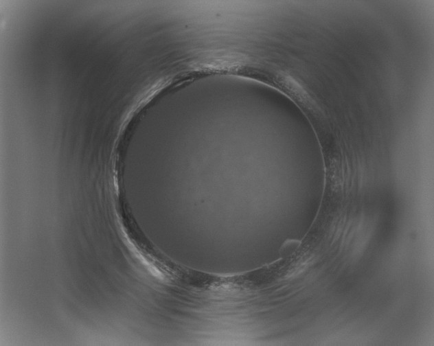 X0000067890634200604131329