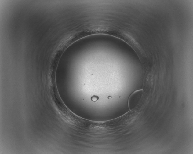 X0000067890635200604131329