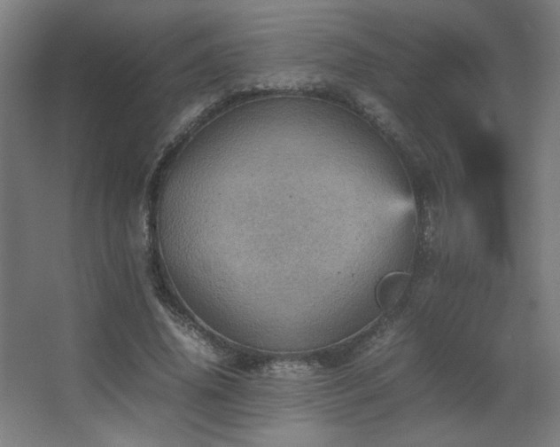 X0000067890636200604131329