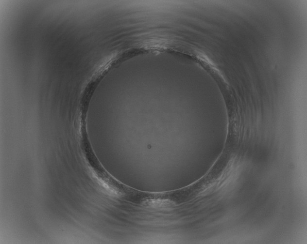 X0000067890637200604131329