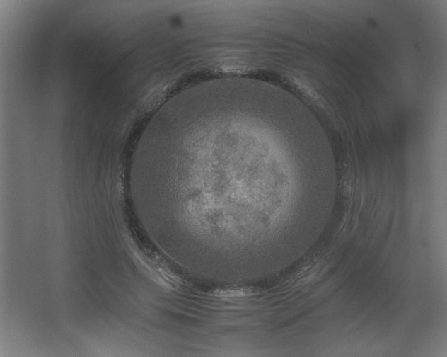 X0000067890639200604131329