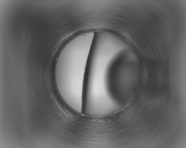 X0000067890640200604131329