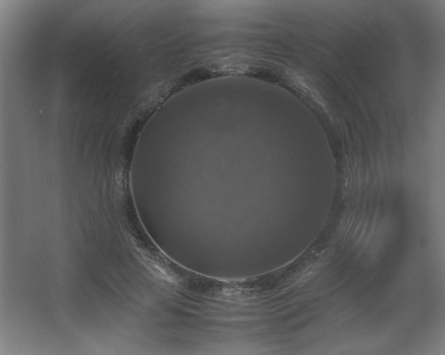 X0000067890641200604131329