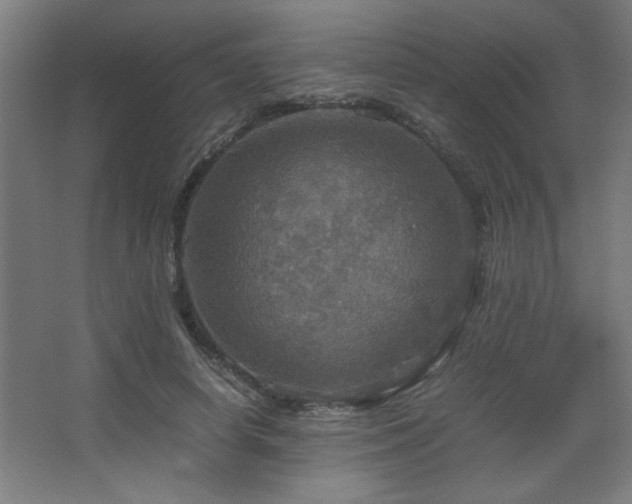 X0000067890642200604131329