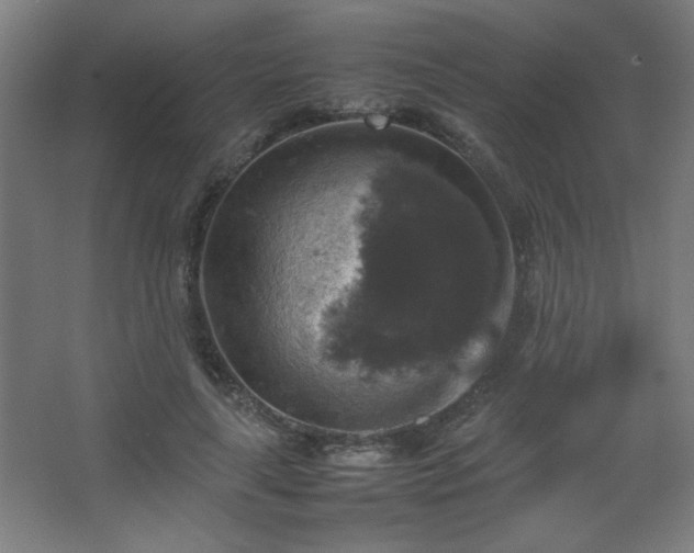 X0000067890643200604131329