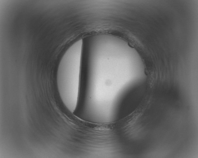 X0000067890644200604131329