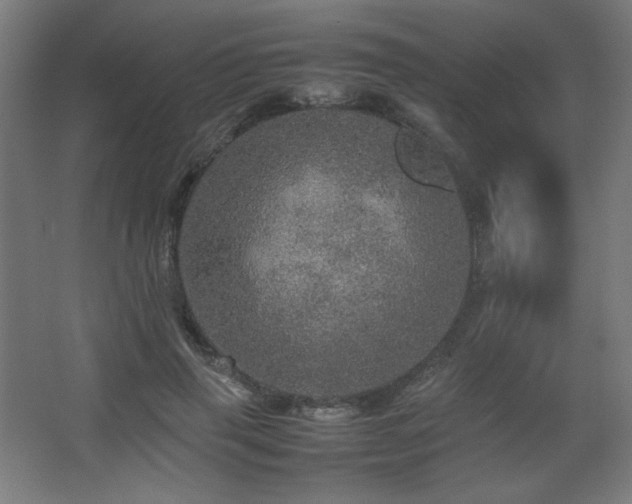 X0000067890645200604131329