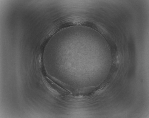 X0000067890646200604131329