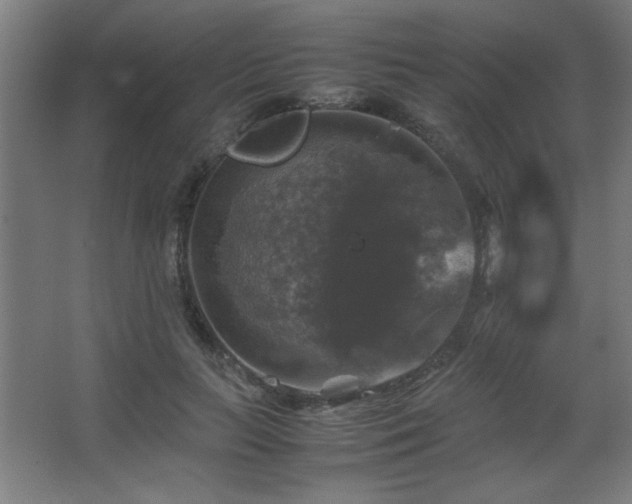 X0000067890647200604131329