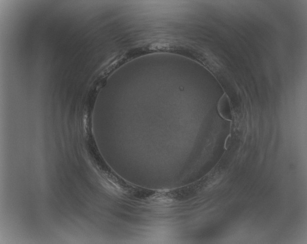 X0000067890648200604131329