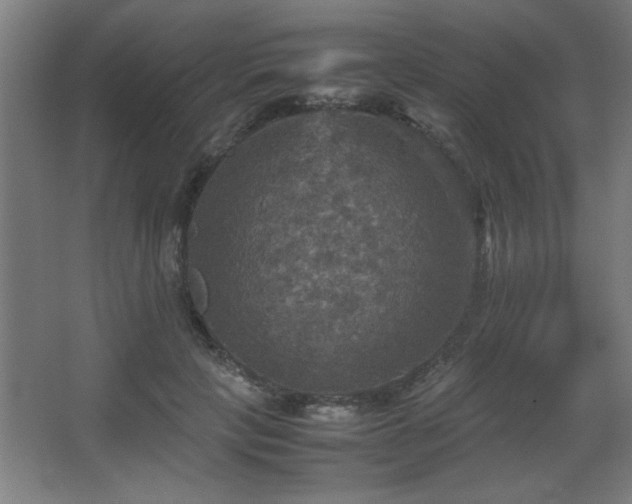 X0000067890649200604131329