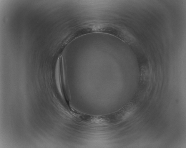 X0000067890650200604131329