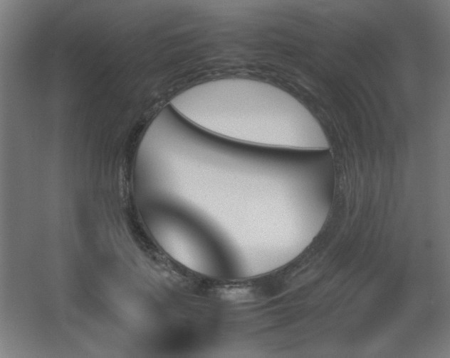 X0000067890651200604131329