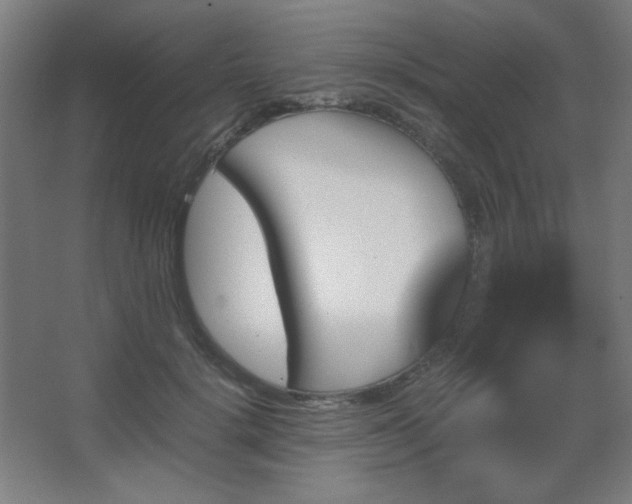 X0000067890652200604131329