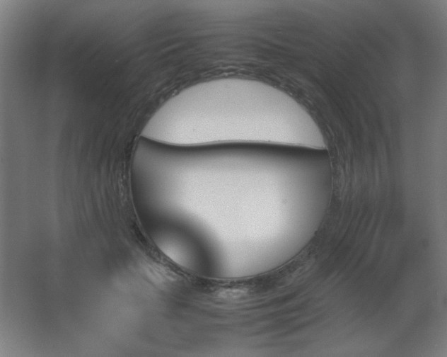 X0000067890653200604131329