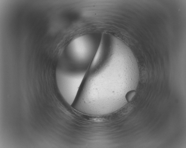 X0000067890654200604131330