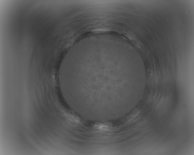 X0000067890655200604131330