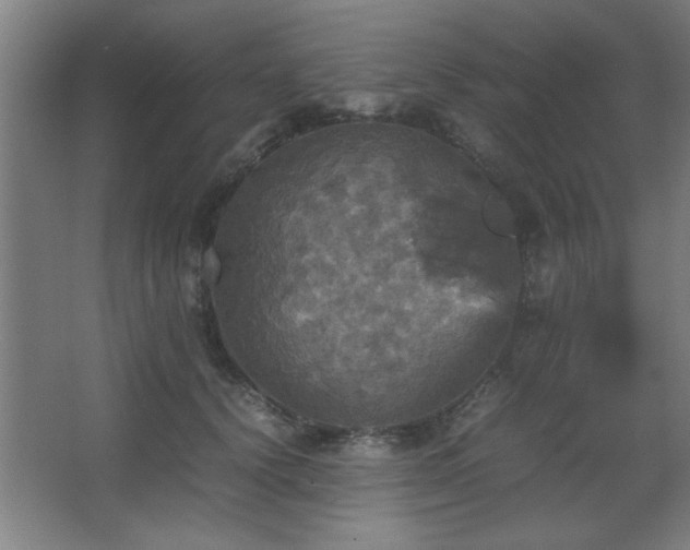 X0000067890656200604131330