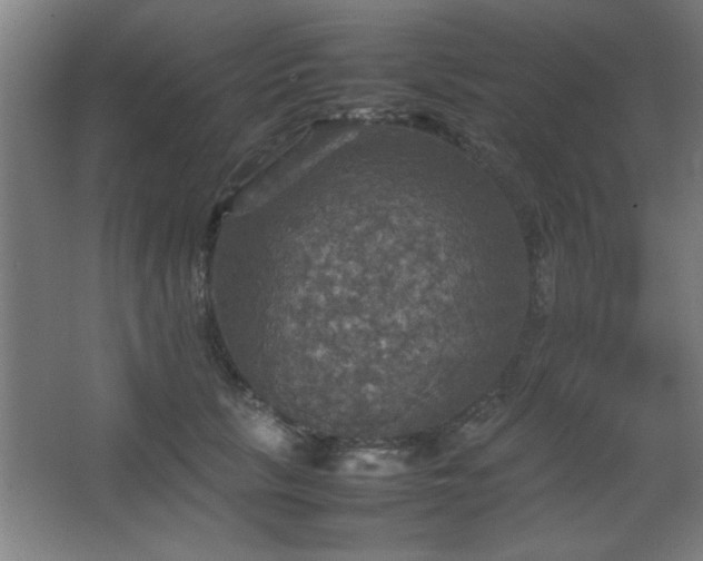 X0000067890657200604131330