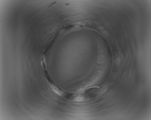 X0000067890658200604131330