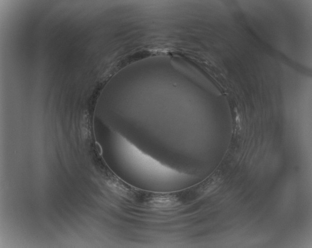 X0000067890659200604131330