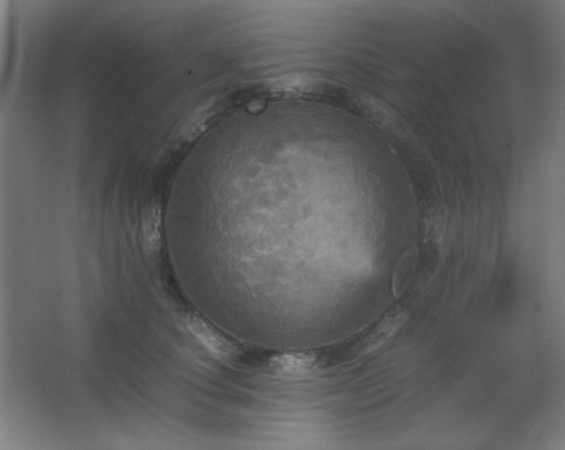 X0000067890660200604131330