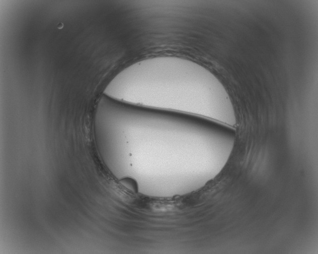 X0000067890661200604131330