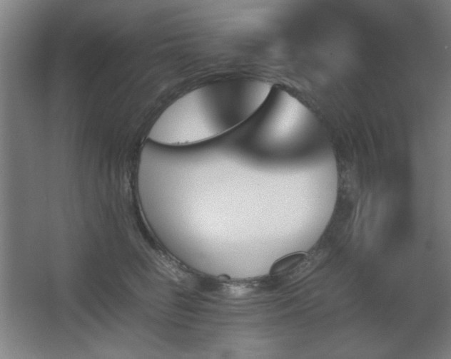 X0000067890662200604131330