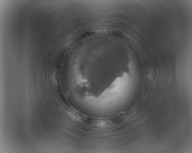 X0000067890663200604131330