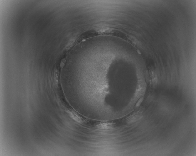 X0000067890664200604131330