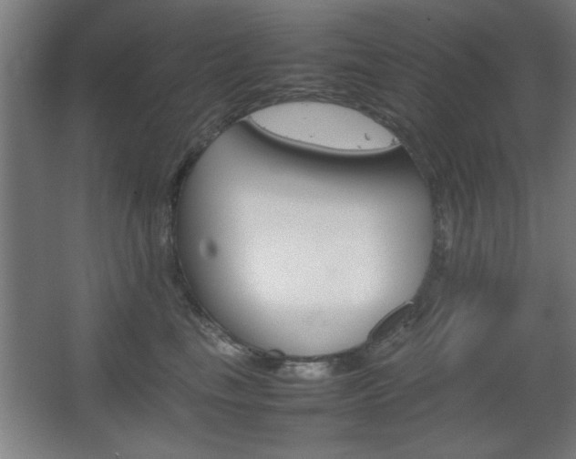 X0000067890665200604131330