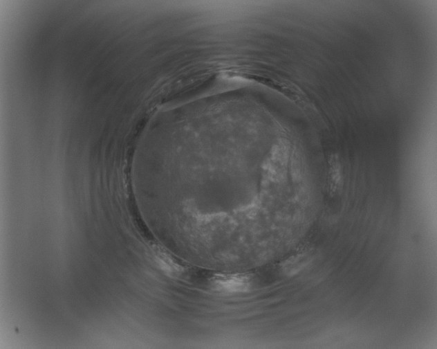 X0000067890667200604131330