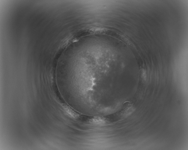 X0000067890668200604131330