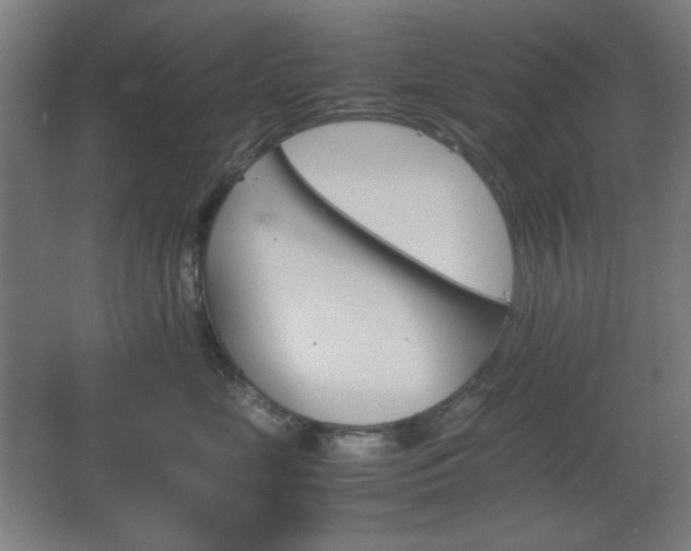 X0000067890669200604131330