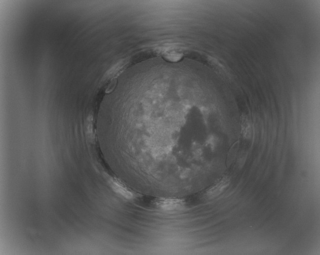 X0000067890670200604131330