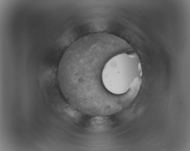 X0000067890672200604131330