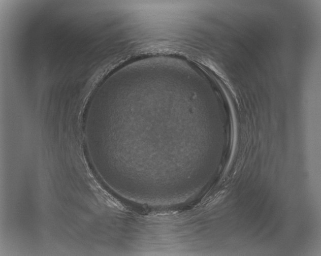 X0000067890673200604131329