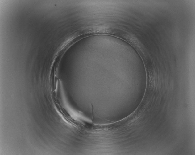 X0000067890674200604131329