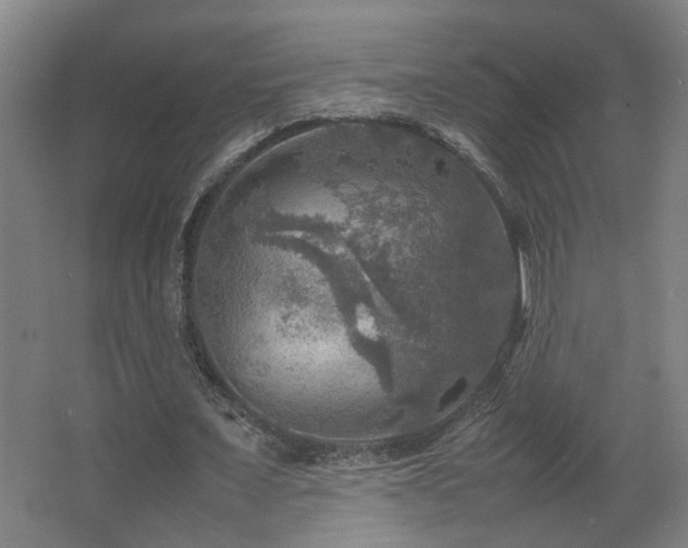 X0000067890675200604131329