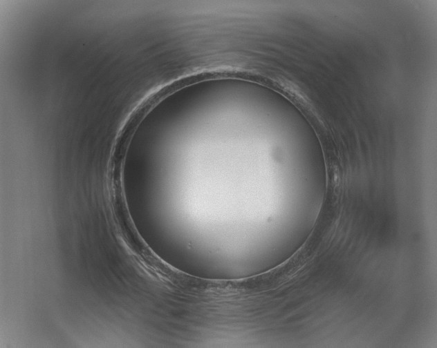 X0000067890676200604131329