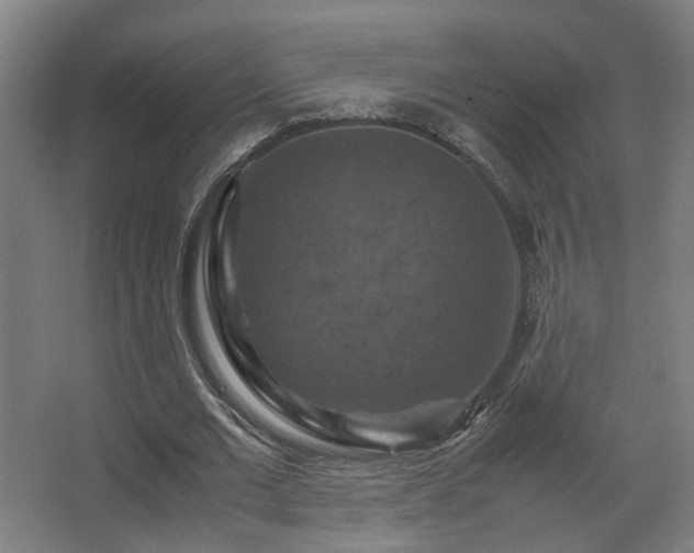 X0000067890677200604131329