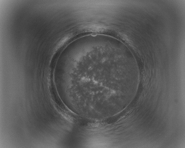 X0000067890679200604131329