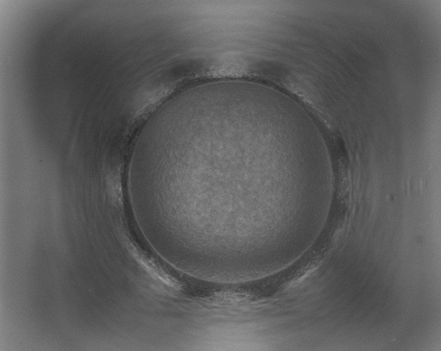 X0000067890681200604131329