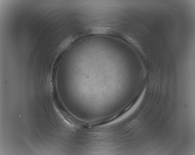 X0000067890682200604131329