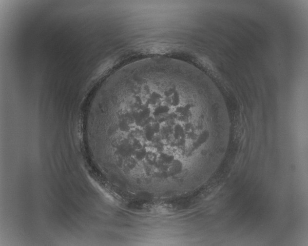 X0000067890683200604131329